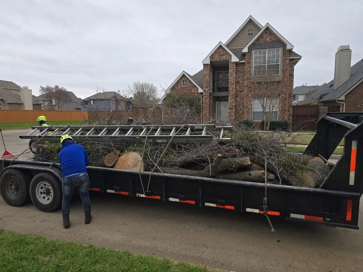 Expert Tree Fertilization with proper safety equipment in Minneapolis